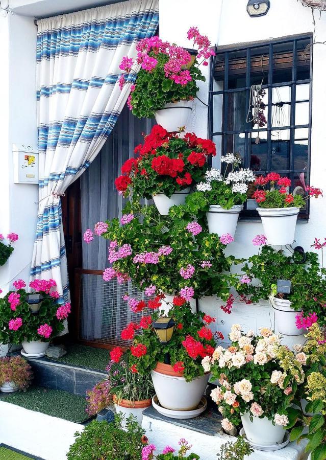 Casa Alhambra - Centro Histórico con Jardín Privado Granada Exterior foto